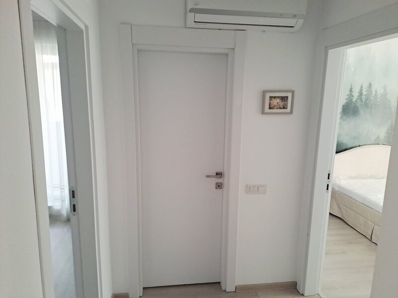 Theodor Pallady, Gura Putnei, 3 camere,